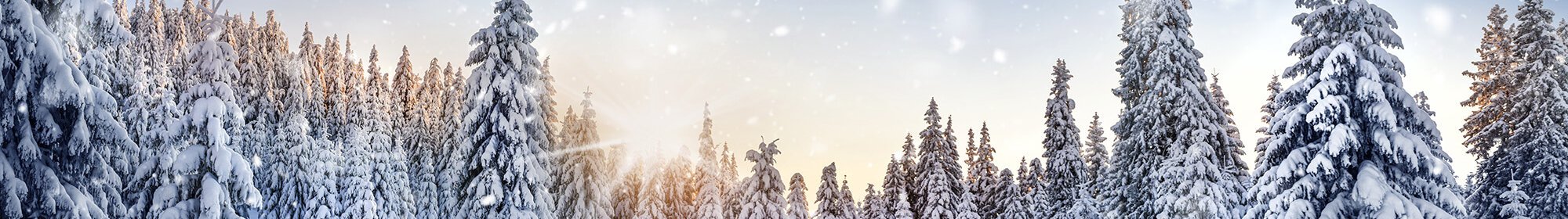 FAQs backgound banner