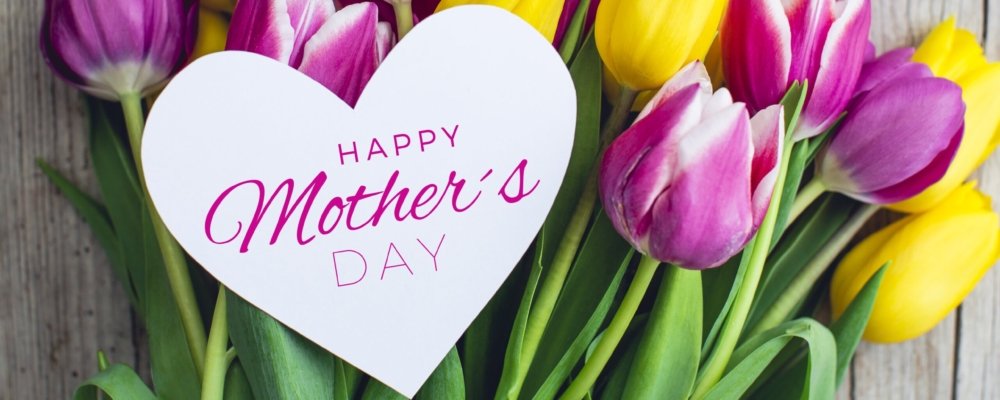 BWS Expert Water Testing and Support Services