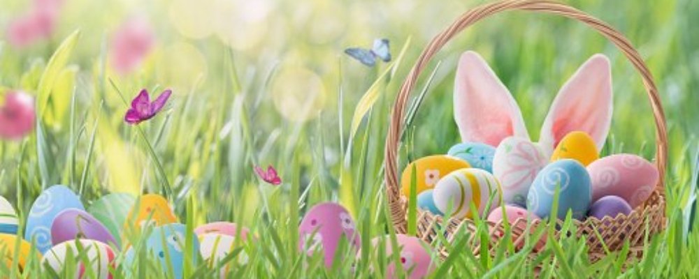 BWS Expert Water Testing and Support Services